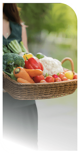 Professionally curated menus with fresh ingredients