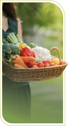 home-culinary-03